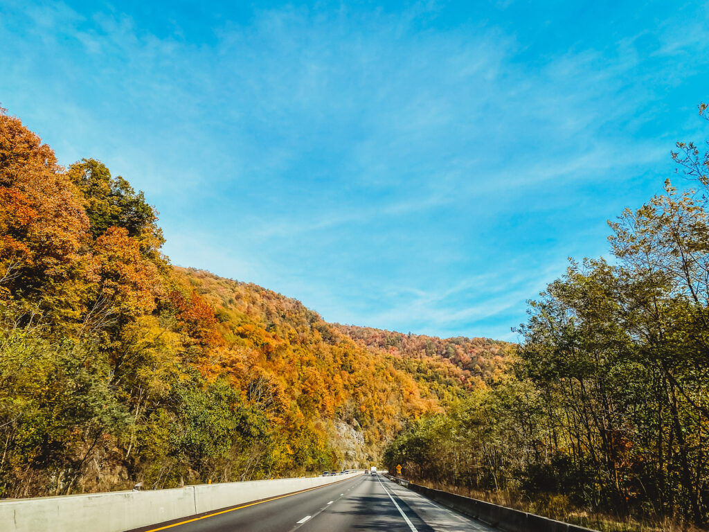 FAMILY ROAD TRIPS, TIPS FOR TRAVEL